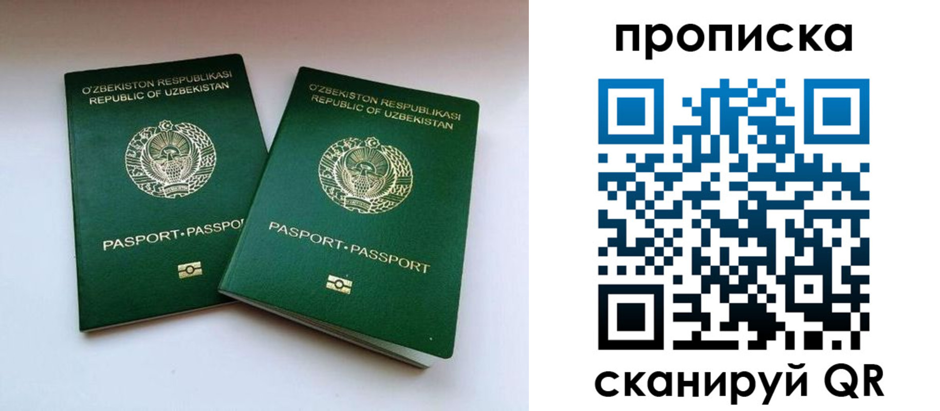 прописка поиск в Зеленоградске